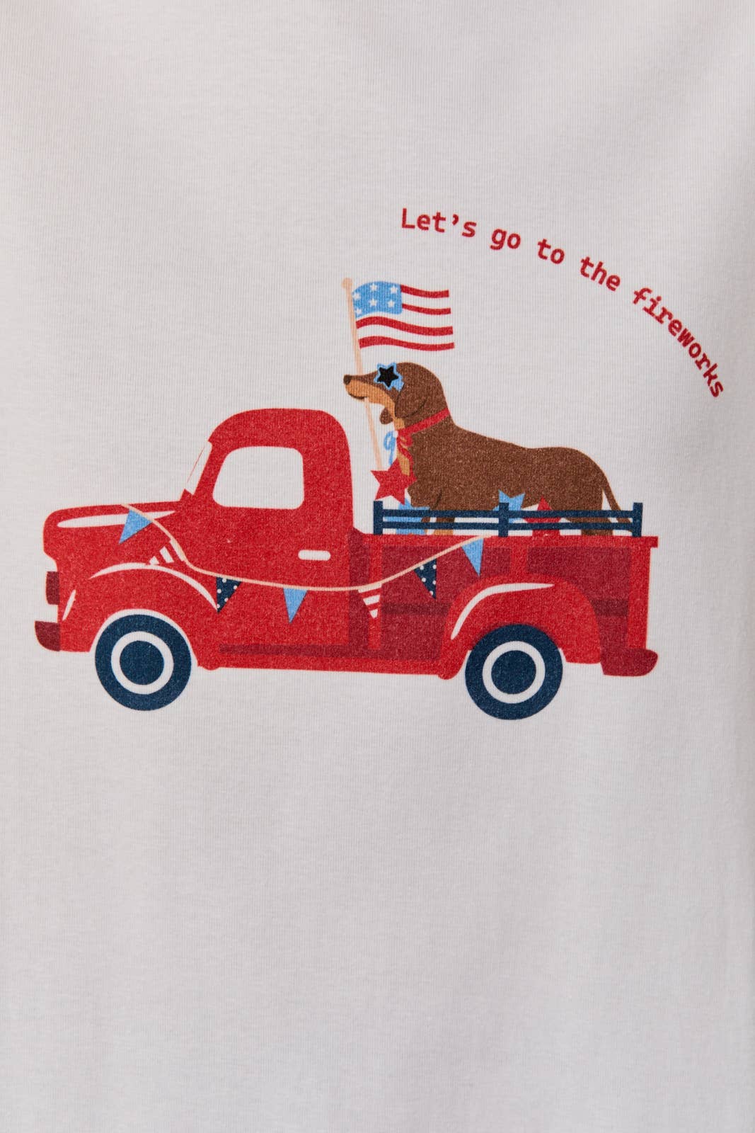 USA Let’s Go to the Fireworks Weenie dog Tee