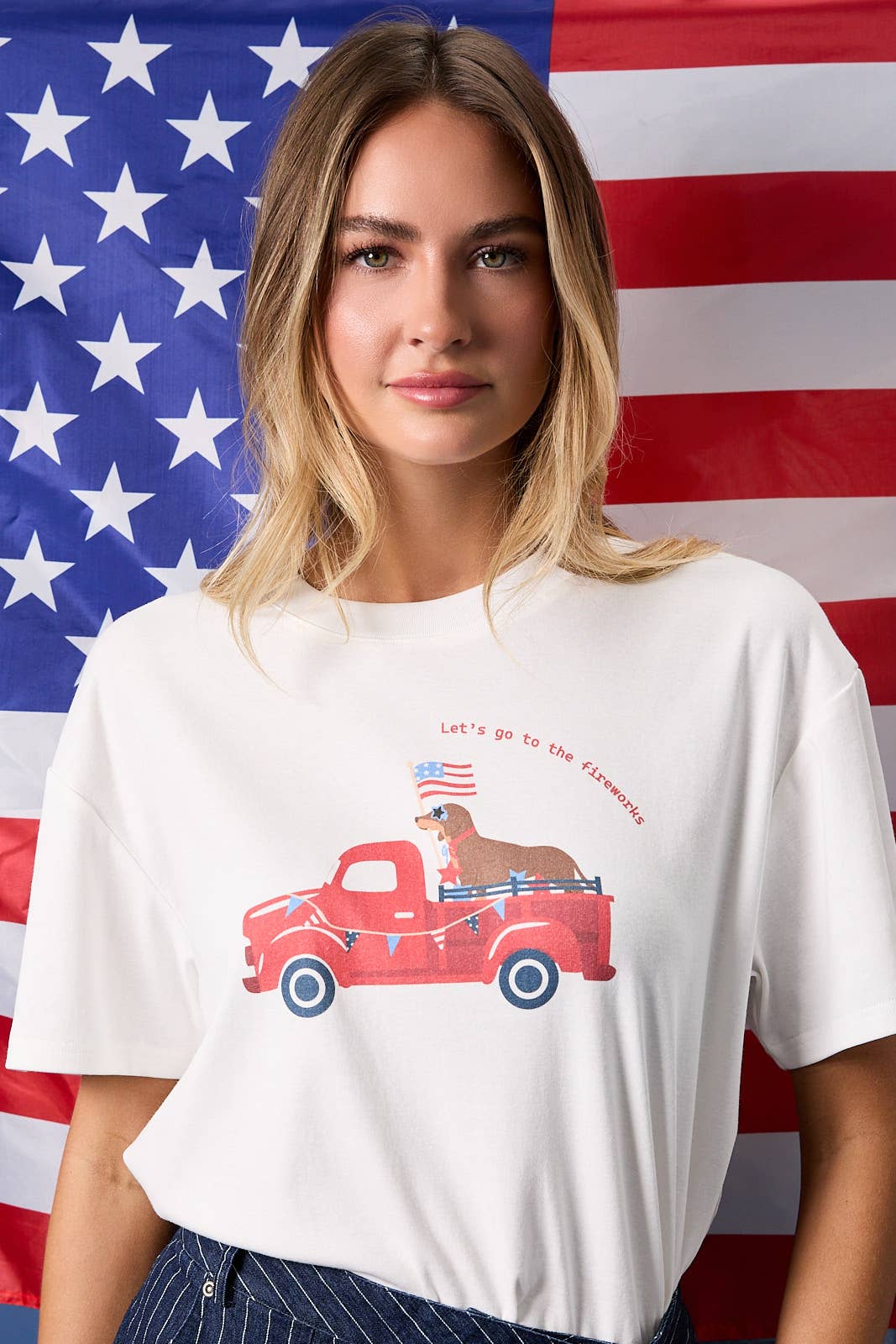 USA Let’s Go to the Fireworks Weenie dog Tee