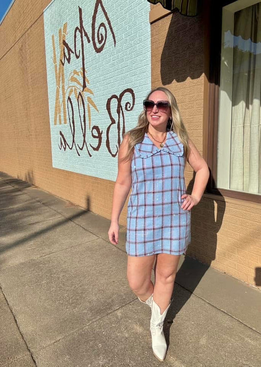 Powder Blue Plaid Ruffle Collar Tank Dress