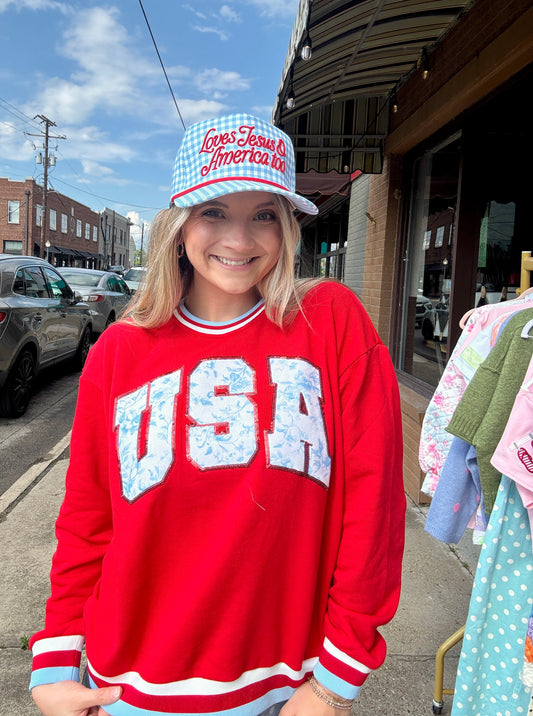 Red USA Toile Sweatshirt