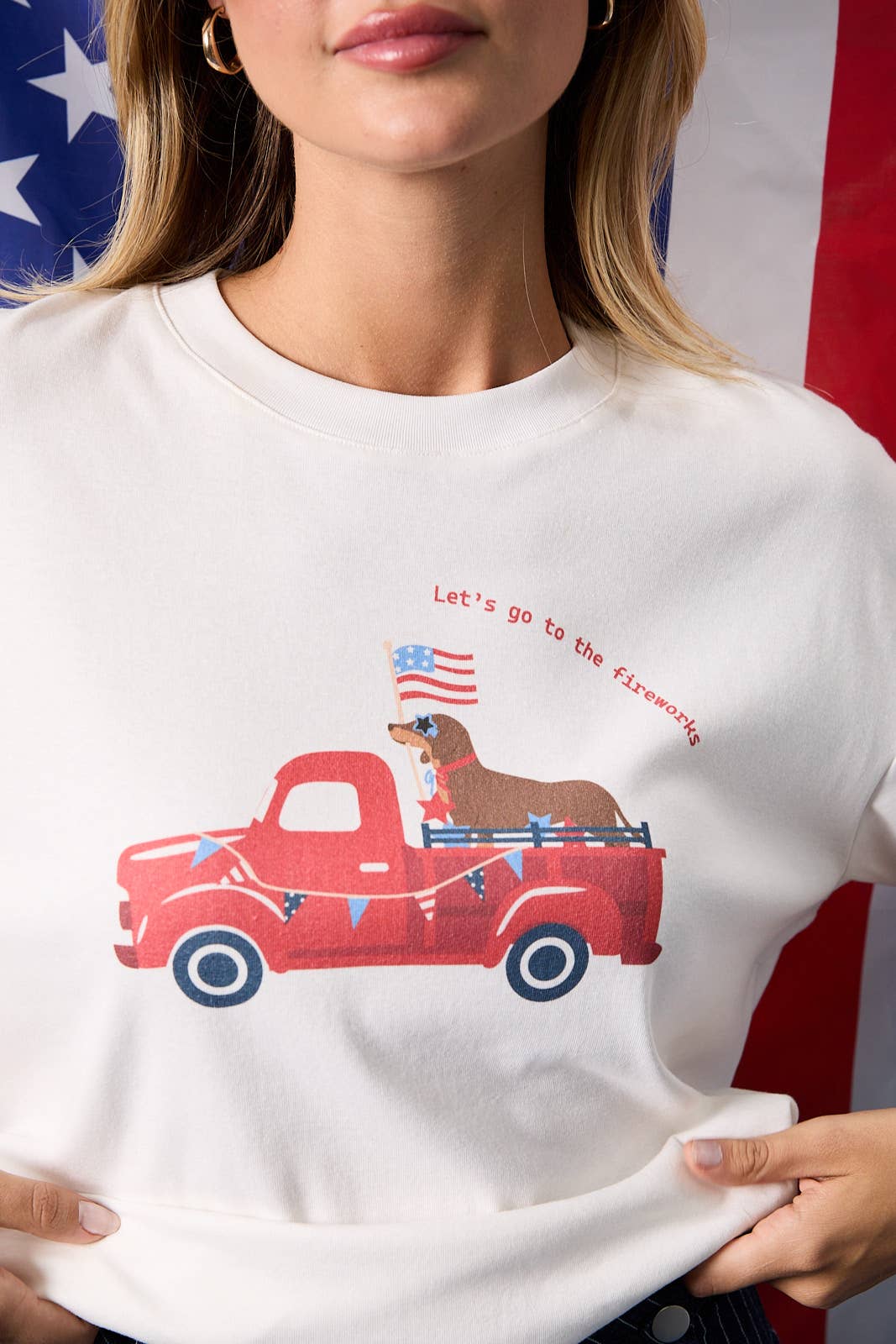 USA Let’s Go to the Fireworks Weenie dog Tee