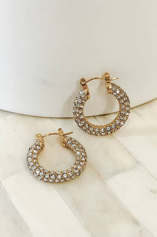 Natural Elements Gold Pave Hoop Earrings